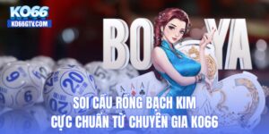 Soi cau rong bạch kim