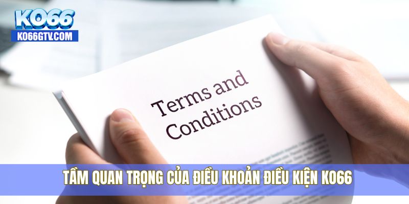 Tầm quan trọng của điều khoản điều kiện KO66
