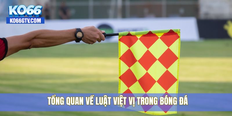 Tổng quan về luật việt vị trong bóng đá